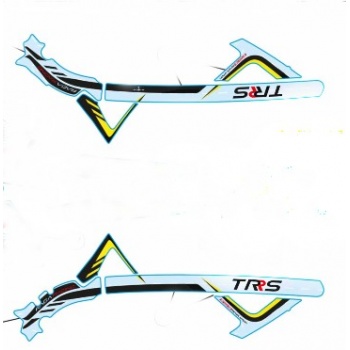 Adhesivos chasis TRS RR 2018